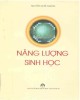 Giáo trình Năng lượng sinh học: Phần 2